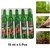 5 Pcs Agrinex Gibralic Power 10ml For Plant Growth